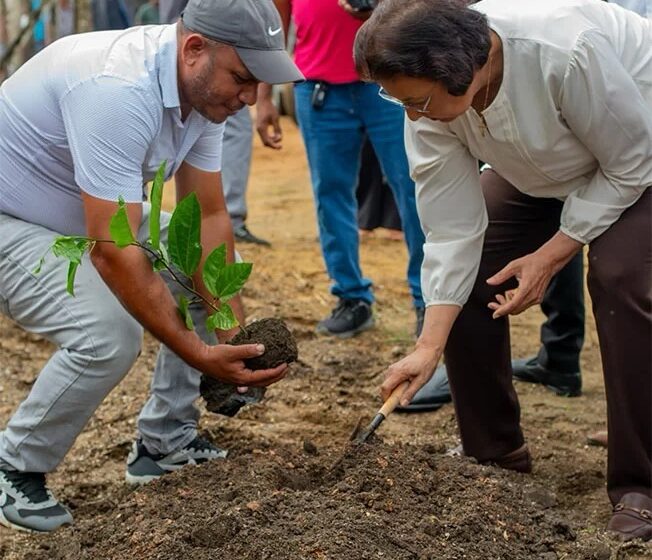  百香果种植项目发力，助推苏里南全国农业生产提质增效