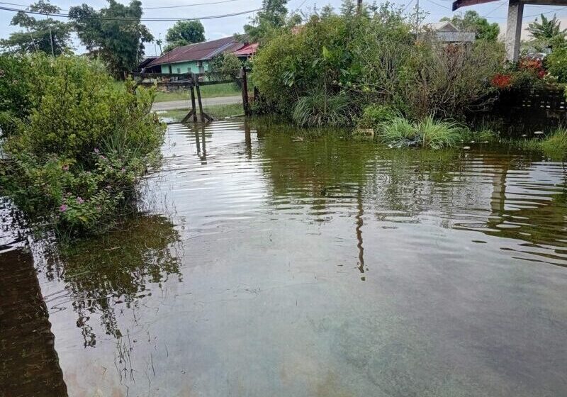 苏里南持续降雨致多地区出现内涝