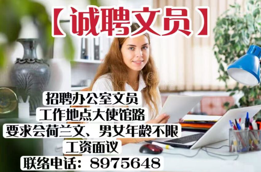  【诚聘文员】