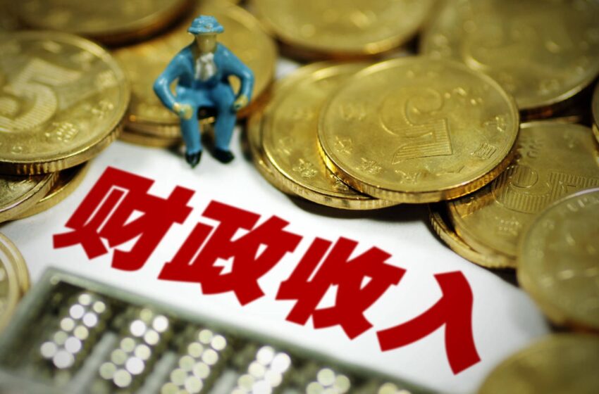  提高税收与海关效率 以增强国家财政实力