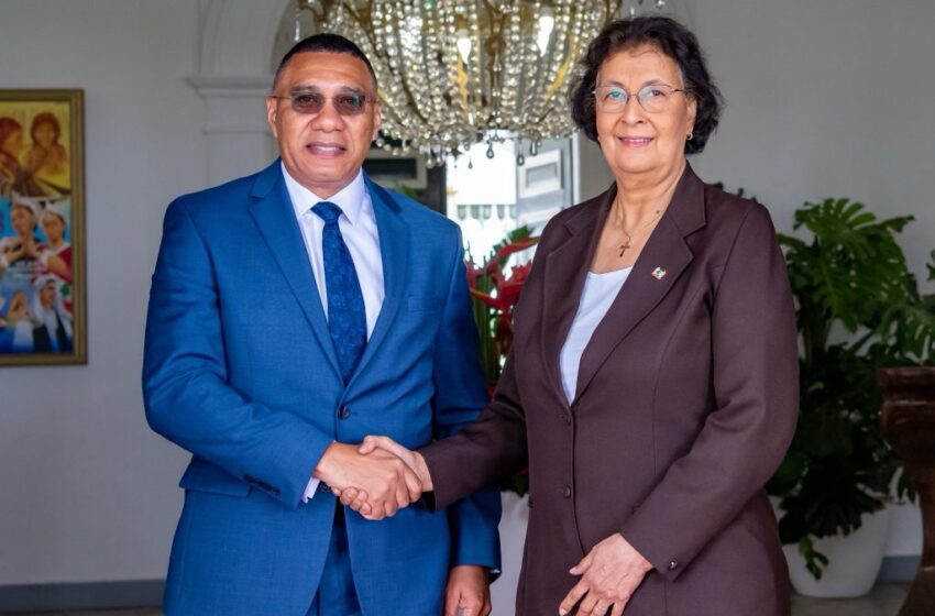  牙买加总理Holness：深化与苏里南在能源、旅游、农业及气候融资领域的合作