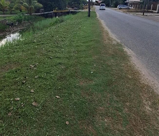  道路管理局清理道路两侧杂草丛生的路肩