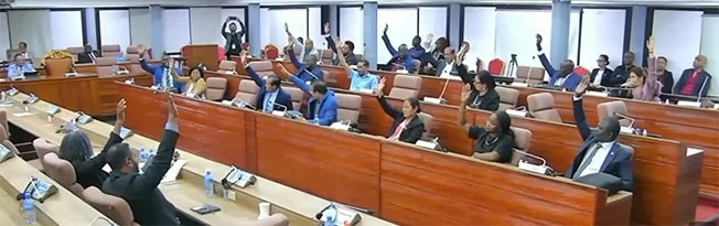  国民议会一致通过侨民运动员苏里南国籍法案