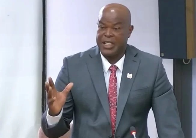  Brunswijk称ABOP党负责的机构的领导人遭到构罪对待