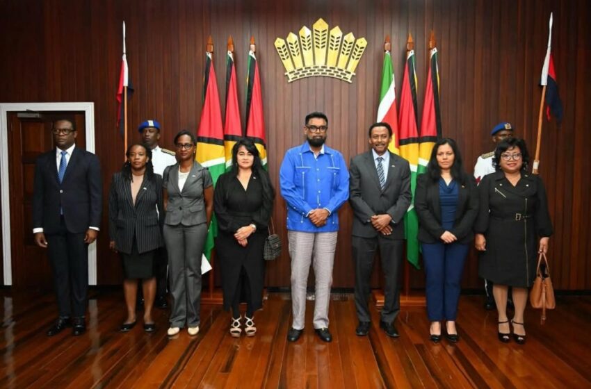  Ivan Fernald大使向总统Mohamed Irfaan Ali递交国书