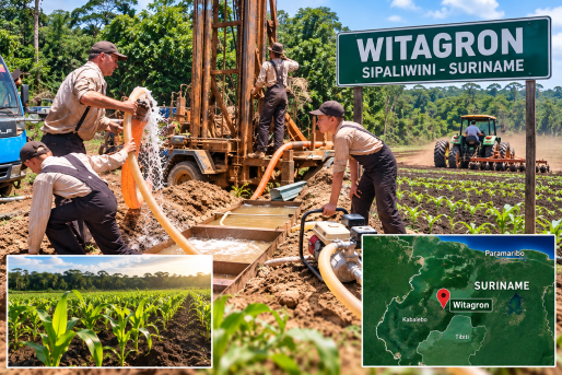  门诺派拟在Witagron区域周边推进大规模农业涉3.4万公顷及投资7800万美元