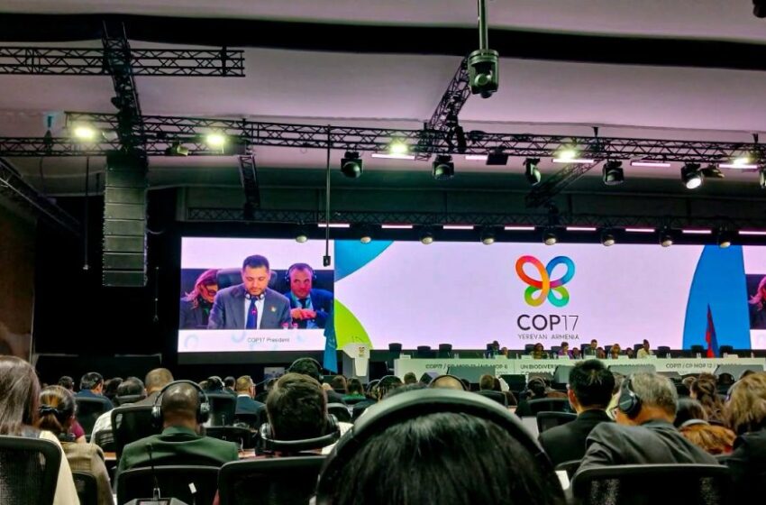  苏里南出席CBD COP17：生物多样性目标落实与资金筹措成核心议题